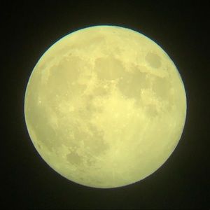 Meet your Posher, Drini